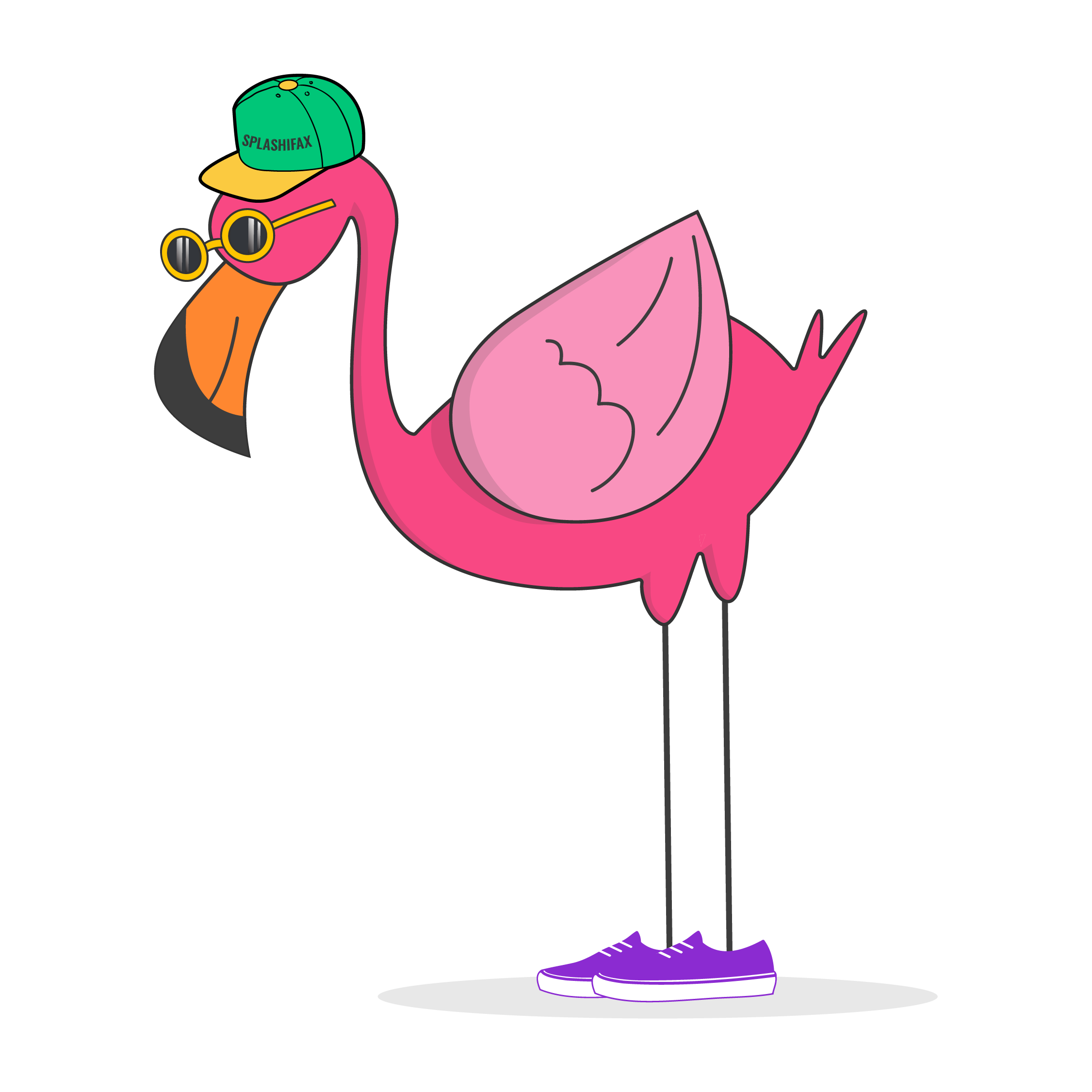 splashifax-flamingo